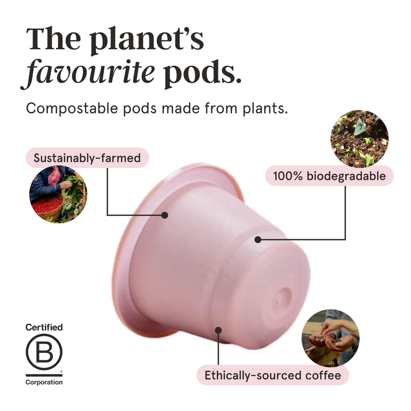 Coffee Pod Advent Calendar image